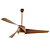 BreezeMaker Ceiling Fan 3D model small image 1