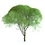 Title: Iva Spheroidal: Versatile Tree for Construction and Agriculture 3D model small image 1