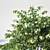 Optimized Philadelphus Variants: Perfect for Scattering 3D model small image 2