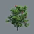 Exquisite Detailed Shrub 3D model small image 1