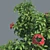 Exquisite Detailed Shrub 3D model small image 2