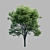 Evergreen Beauty: Stunning Russian Tree 3D model small image 1