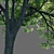 Evergreen Beauty: Stunning Russian Tree 3D model small image 2