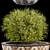 Mosaic Pot Euonymus Alatus 3D model small image 2