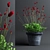 Bloodthirsty Sanguisorba: Beautiful Landscape Plant 3D model small image 1