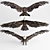 Fierce Falcon: A Powerful and Agile Predator 3D model small image 1