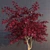 Elegant Japanese Maple Tree 3D model small image 2