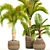 TropiCollection: Exotic Plant Oasis 3D model small image 1