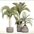 TropiCollection: Exotic Plant Oasis 3D model small image 3