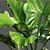 Exotic Jungle Foliage 3D model small image 2