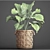 Exotic Jungle Foliage 3D model small image 3