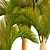 Golden Palm Collection 3D model small image 2