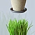 Modern Home Plant Set 

Translation: 
Set of simple indoor plants with pots, perfect for interior design. Features high-quality voluminous grass. 3D model small image 3