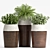 Botanical Oasis: Decorative Planters 3D model small image 1