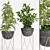 Green Oasis Planter Set 3D model small image 1