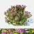 Japanese Spirea: Large, 100cm 3D model small image 1