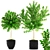 117 Tree Collection: Botanical Beauty 3D model small image 1