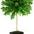 117 Tree Collection: Botanical Beauty 3D model small image 2