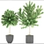 117 Tree Collection: Botanical Beauty 3D model small image 3