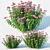 Eupatorium purpureum: Versatile and Stunning 3D model small image 3