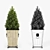 Artificial Boxwood Topiary: Versatile & lifelike decoration 3D model small image 2