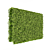 Lush Green Decorative Wall 3D model small image 1