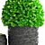 118 Plant Collection: Topiary Haven 3D model small image 2