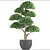 Niwaki Topiary Tree 3D model small image 3