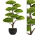 Niwaki Bonsai Tree Sculpture 3D model small image 1