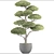 Niwaki Bonsai Tree Sculpture 3D model small image 3