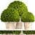 Botanical Bliss: Topiary Collection 3D model small image 1