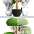 Niwaki Collection: Bonsai & Topiary 3D model small image 3