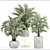 Tropical Palm Collection - Howea 3D model small image 3