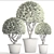 Spectacular Topiary Collection: 126 Varieties 3D model small image 3