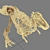 Trex Skeleton Replica 3D model small image 3