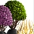 Botanical Greens Collection: Exquisite Potted Plants 3D model small image 2