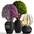 Botanical Greens Collection: Exquisite Potted Plants 3D model small image 3