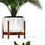 Modernica Pots - Plants Collection 68 3D model small image 2