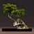 Artistic Bonsai Sculpture 3D model small image 1