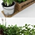 Fresh Greens Grow Kit 3D model small image 2