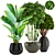 Exotic Bamboo and Topiary Collection 3D model small image 1