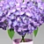 Elegant Hortensia Vase Arrangement 3D model small image 2