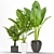 14 Different Indoor Plants: Bring Nature Inside 3D model small image 1