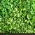 Green Wall Module: Vertical Garden 6 3D model small image 2