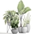 Tropical Plant Collection: Sansevieria, Alocasia & Palm Grass 3D model small image 3