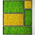 Evergreen Vertical Garden: Stabilized Moss 3D model small image 1