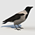 Hooded Crow Model: Feathered Majesty 3D model small image 1