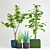 Indoor Plant Collection with Variety of Pots 3D model small image 1