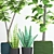 Indoor Plant Collection with Variety of Pots 3D model small image 2