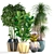 Exotic Plant Collection: Dracaena, Bromelia, Bamboo & Ficus Lyrata 3D model small image 1